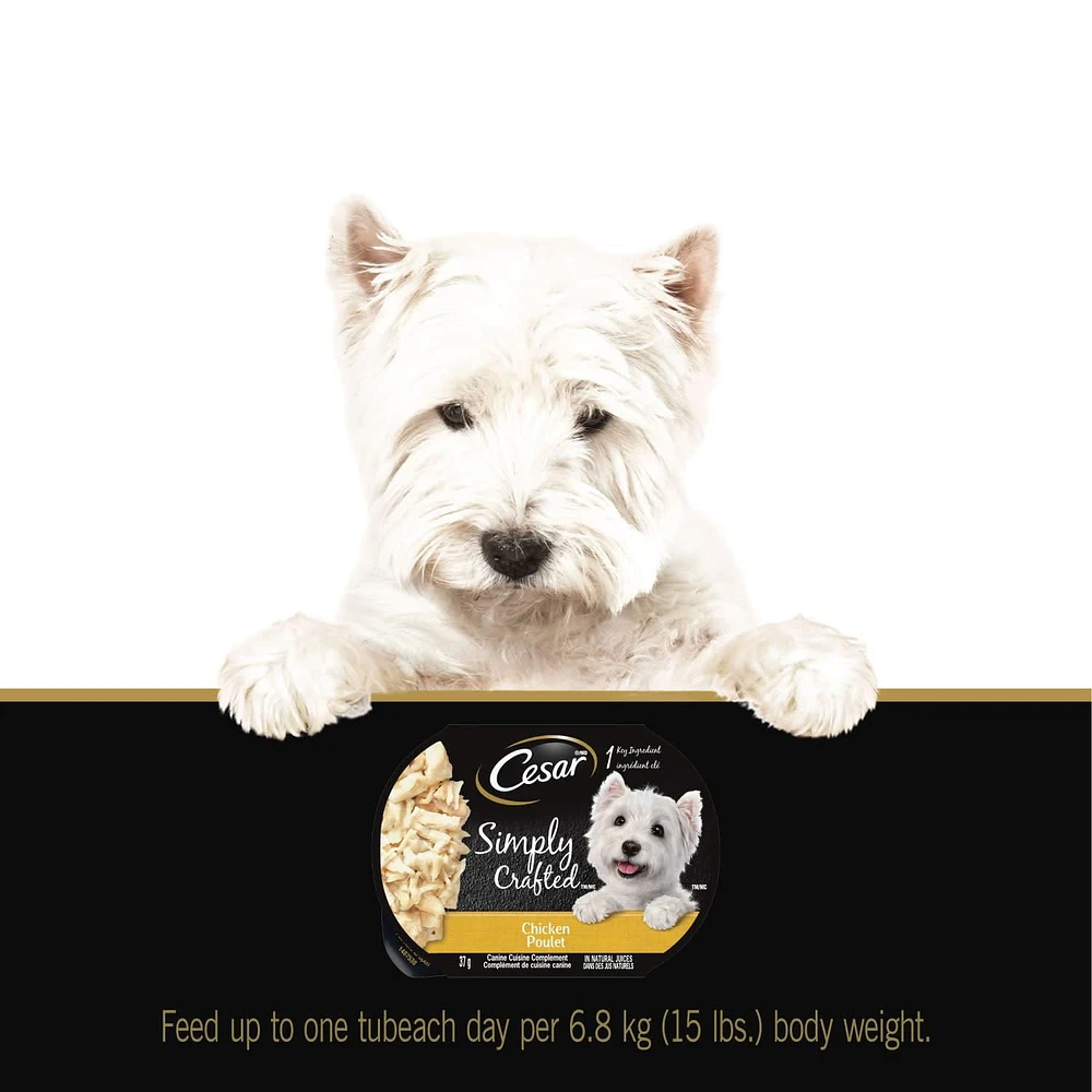 Cesar Simply Crafted Chicken Recipe Wet Dog Food, 37g