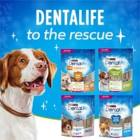 DentaLife ActivFresh Moyennes Gâteries à Mâcher pour Soins Buccodentaires Quotidiens 172-745g