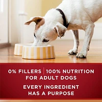 Purina ONE Véritable Instinct Moulue Classique Boeuf et Saumon Sauvage, Nourriture Humide pour Chiens 368 g 368g