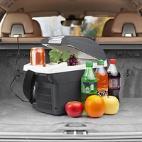 Wagan 6206-6 Quart 12V Portable Electric Cooler/Warmer EL6206 for Car, Truck, SUV, RV, Trailer DC Powered