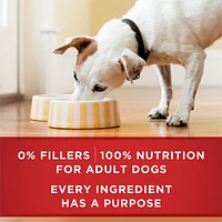 Purina ONE SmartBlend Moulue Classique Entrée de Boeuf et Riz Brun, Nourriture Humide pour Chiens 368 g 368g