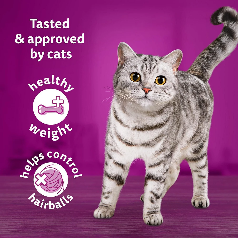 Whiskas Indoor High Protein with Real Chicken Dry Cat Food
