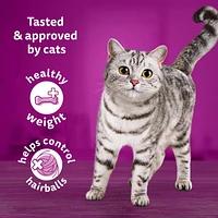 Whiskas Indoor High Protein with Real Chicken Dry Cat Food