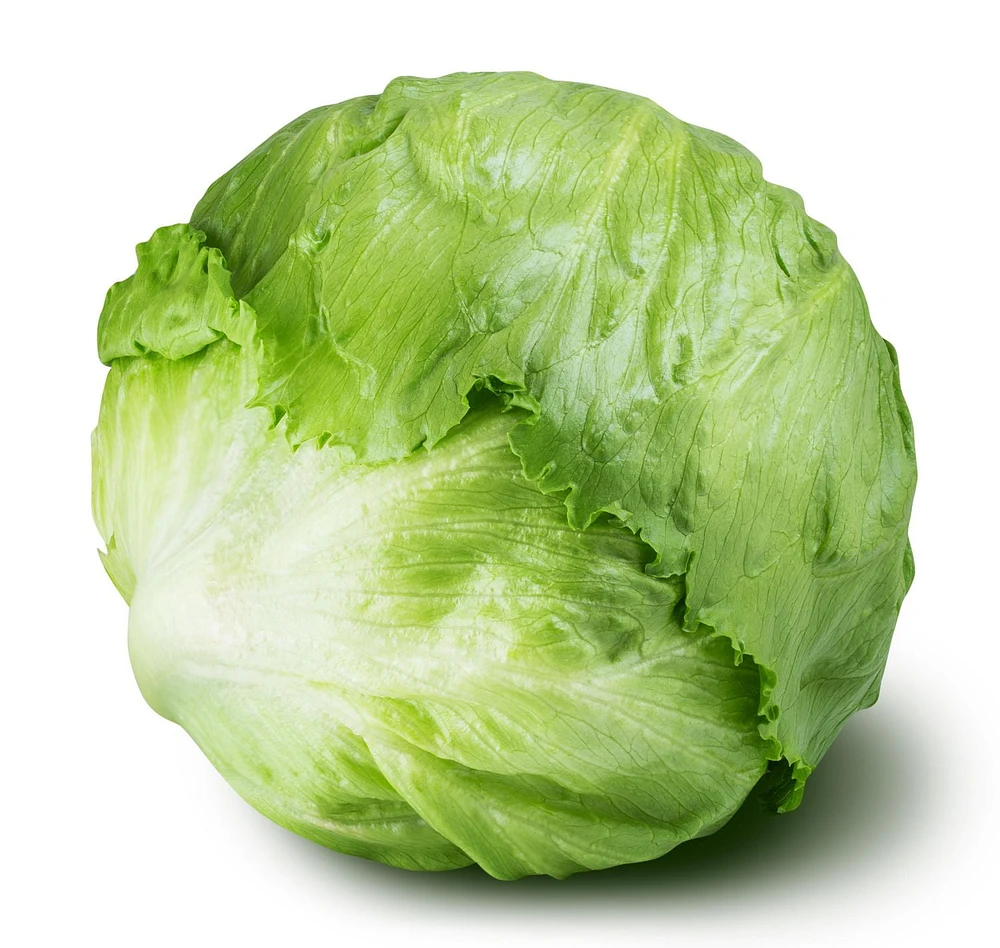 Lettuce, Iceberg Organic