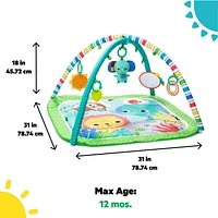 Tapis d'éveil Wild Wiggles FoldAway Activity Gym de Bright Starts 0 - 12 mois