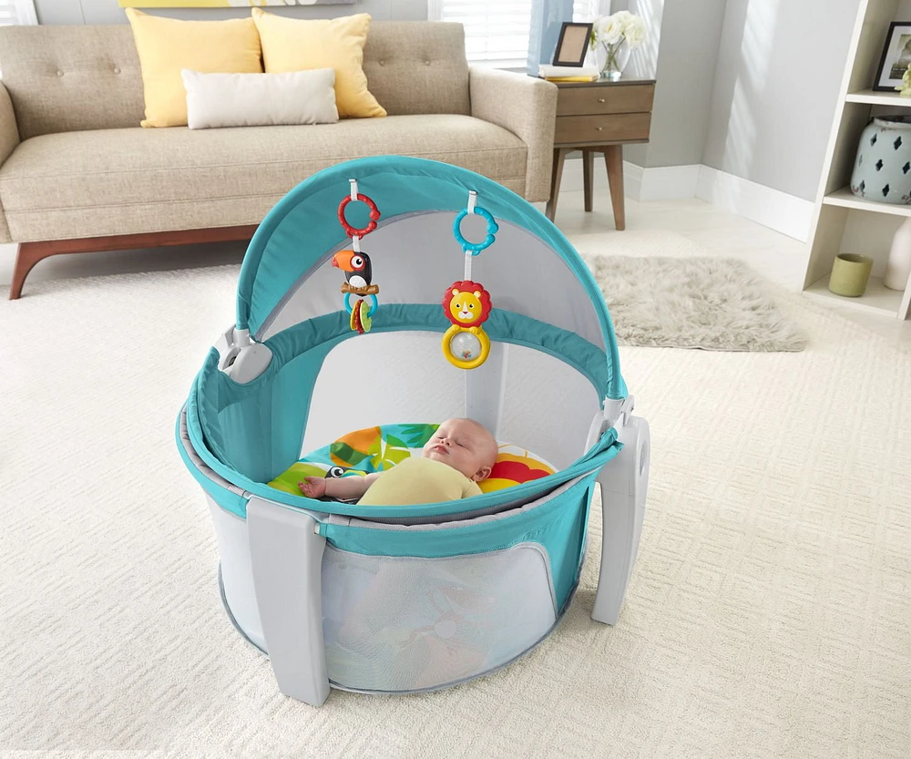 Fisher-Price On-The-Go Baby Dome