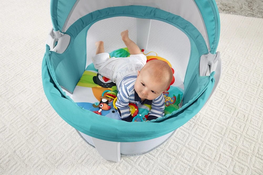 Fisher-Price On-The-Go Baby Dome