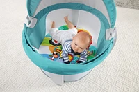 Fisher-Price On-The-Go Baby Dome