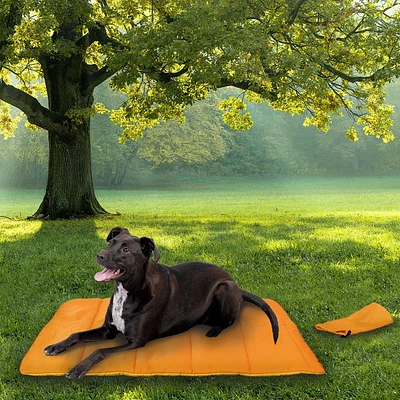 Pet Spaces Tapis de voyage pour chien 40 x 30 po 40po x 30po