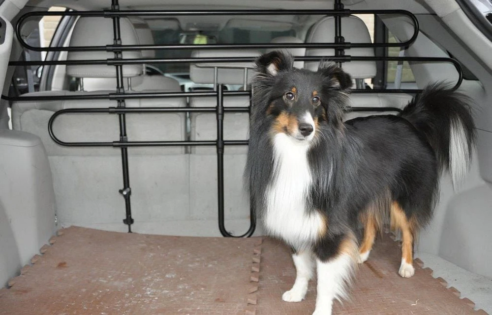 3 Bar SUV / Car Dog Pet Barrier