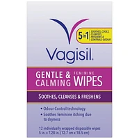 Vagisil® Gentle & Calming Feminine Wipes, 12 Flushable wipes