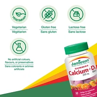 Jamieson Calcium Plus Vitamin D3 Gummies, 60 Gummies