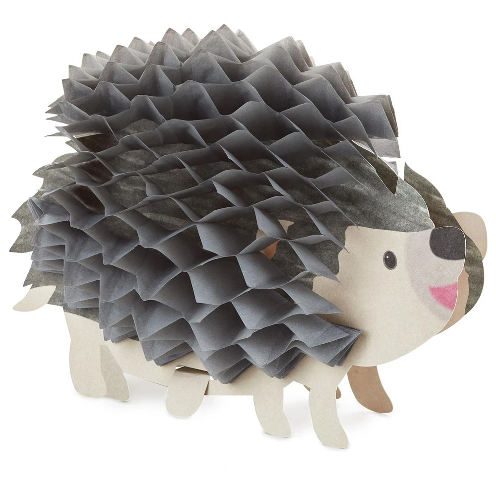 Hallmark Pop Up Birthday Card (3D Honeycomb Hedgehog)