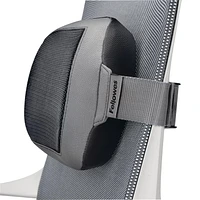 I-Spire Series™ Lumbar Cushion