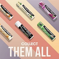 Chapstick Classic Mint 2 Pack, 2 Pack