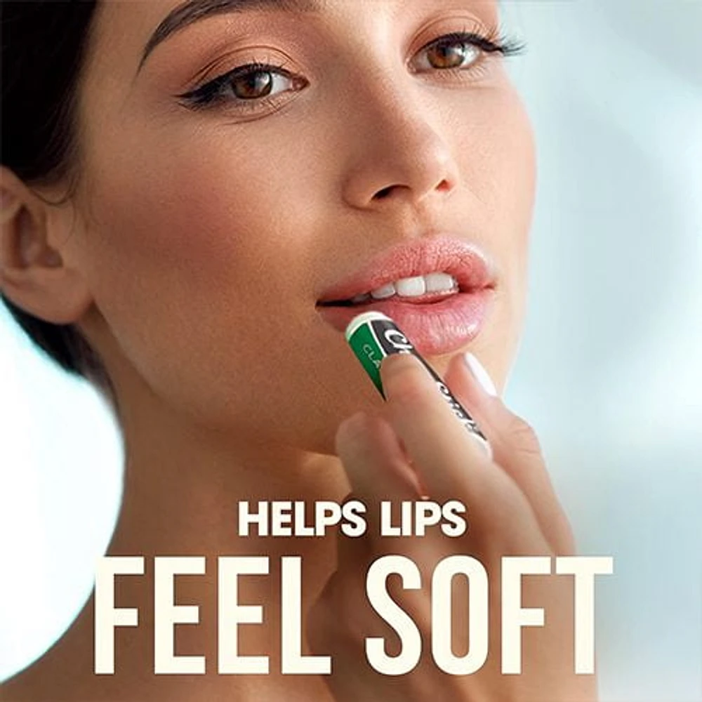 Chapstick Classic Mint 2 Pack, 2 Pack