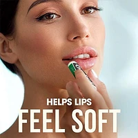 Chapstick Classic Mint 2 Pack, 2 Pack
