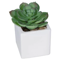 Mainstays Echeveria Plant Artificial Succulent Pick