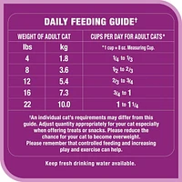 Whiskas Meaty Selections Chicken Natural Adult Dry Cat Food, 2 - 9.1kg