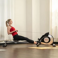 Sunny Health & Fitness Magnetic Rowing Machine - Silver - SF-RW520084S