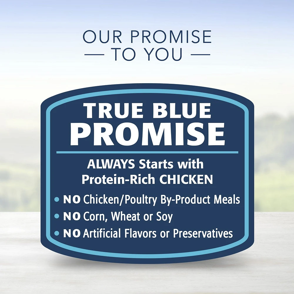 BLUE Delights Saveur de poulet grille pâté pour chiens de petite race 99g