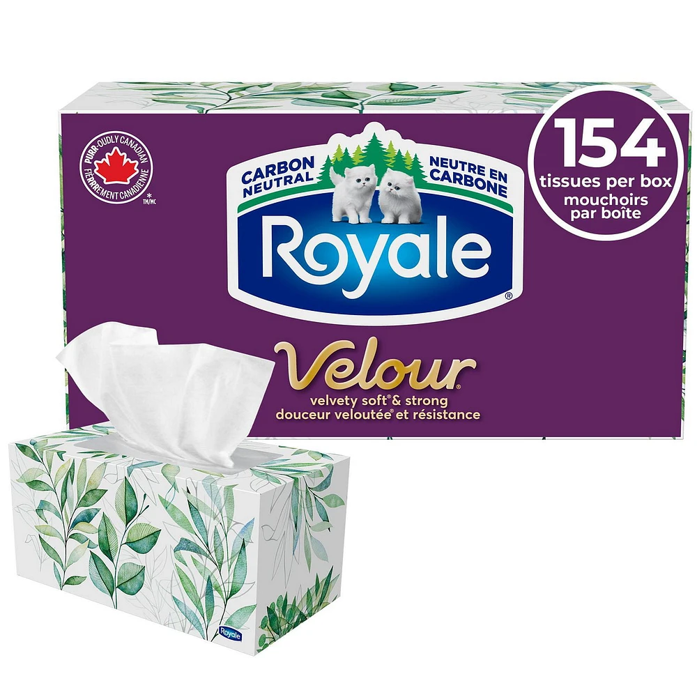 Royale Velour Facial Tissue, 1 Flat Boxes, 154 Tissues per box, 3-Ply, 154 Tissues