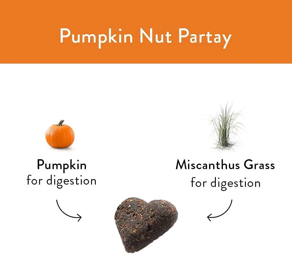 Shameless Pets Pumpkin Nut Partay Upcycled Pumpkin & Peanut Butter Flavoured Soft Baked Biscuit Dog Treats