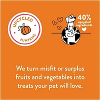 Shameless Pets Pumpkin Nut Partay Upcycled Pumpkin & Peanut Butter Flavoured Soft Baked Biscuit Dog Treats