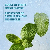 Clean Fresh Yummy Gloss, Brillant repulpant, Brillant à lèvres, Végétalien, Repulpant et volumateur, Facile à appliquer, Saveur menthe Brillant à lèvres repulpant