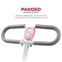 Sunny Health & Fitness Upright Row-N-Ride™ Exerciser in Pink – P2100