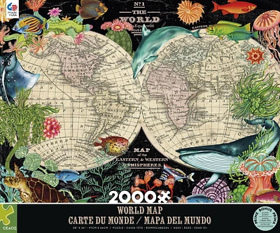 Ceaco - Hue snd Mi - World Map - 2000 Piece Puzzle