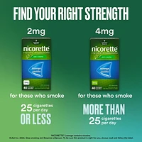 Nicorette Mint 2mg Lozenges, Quit Smoking Aid, NRT, Nicotine Replacement Products, Craving Relief, Mint Flavoured, 160 Pack