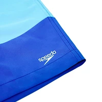 Short de volley 18 po avec chevrons et blocs de couleurs Speedo pour hommes Tailles P-2XL