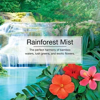 LITTLE TREES air freshener Rainforest Mist 3-Pack