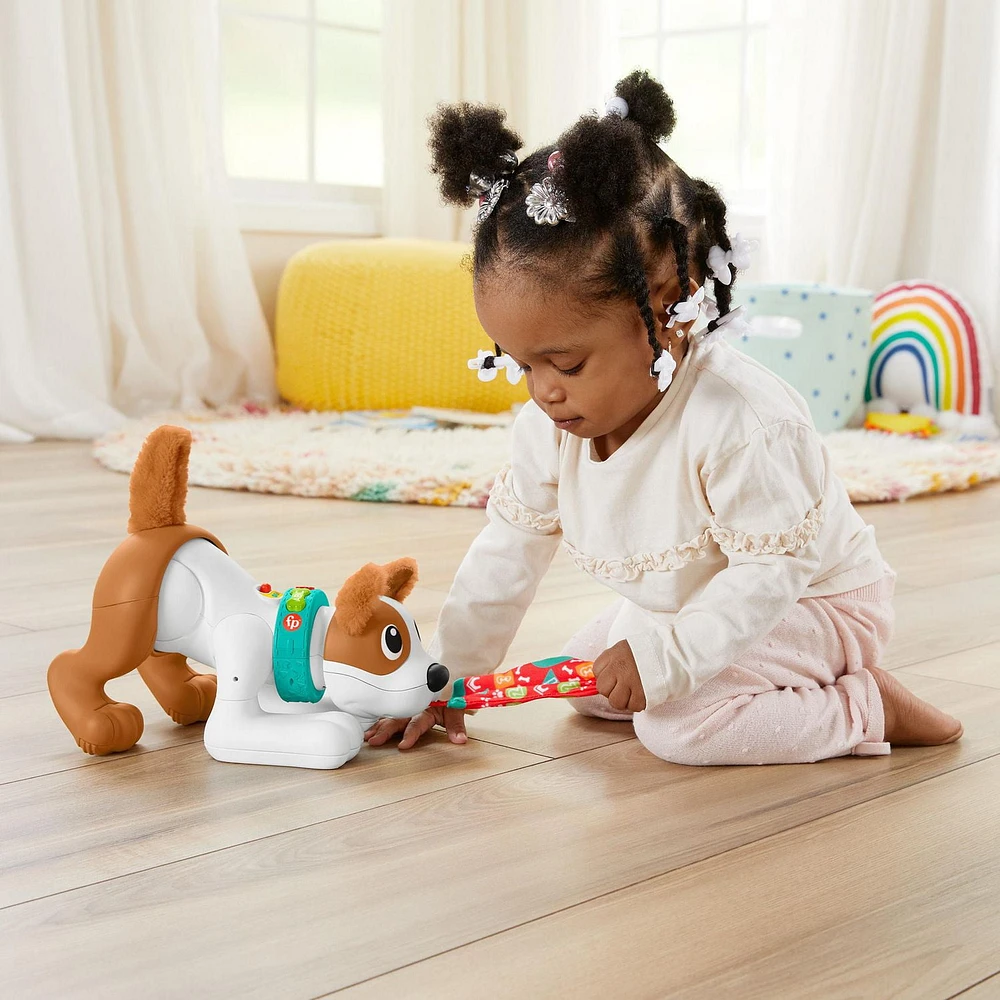 Fisher-Price 123 Crawl With Me Puppy Electronic Musical Learning Toy for Infants - English Version, Ages 6-36M