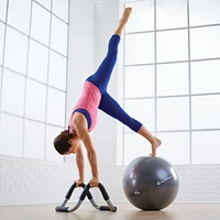 Halo Trainer with Stability Ball & Pump