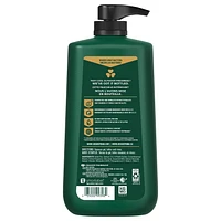 Irish Spring Original Clean Body Wash for Men, 887 mL, 887 mL