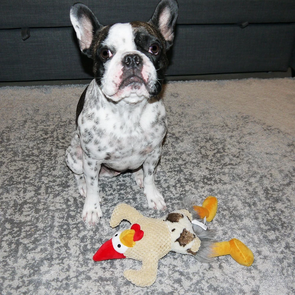 PMP CHICKEN DOG TOY