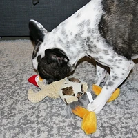 PMP CHICKEN DOG TOY