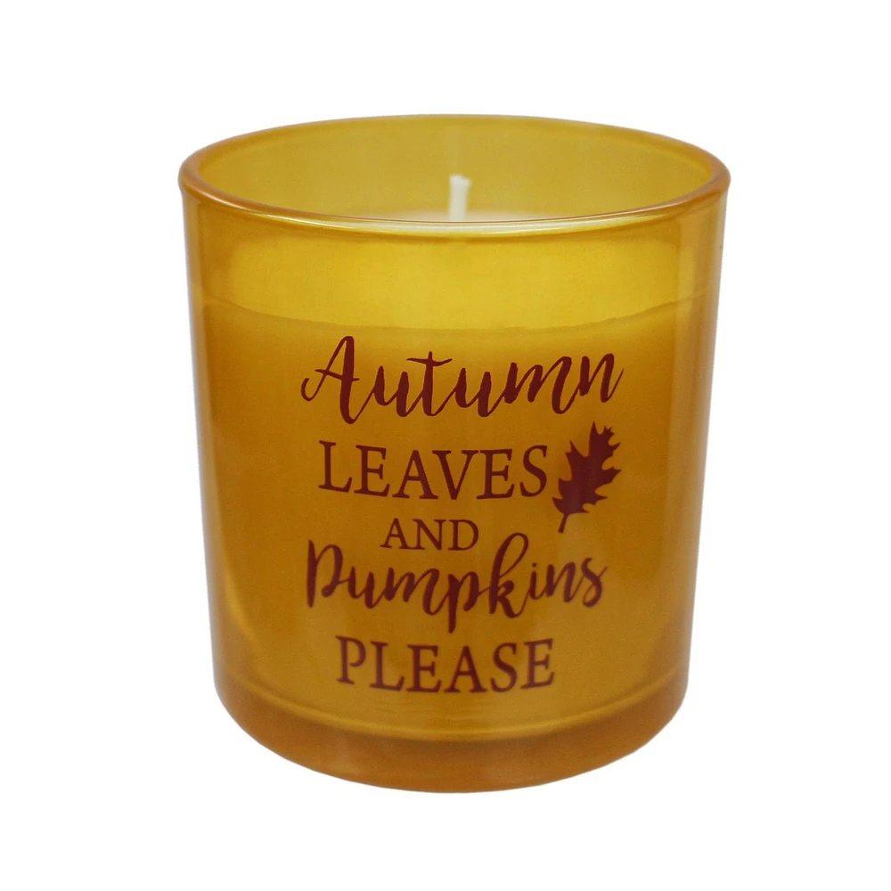 5.5oz - MULLED CIDER Fragranced Candle