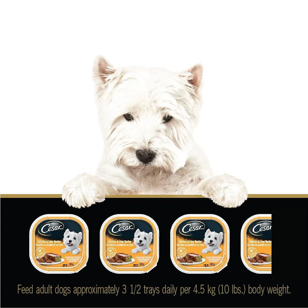 Cesar Classic Loaf in Sauce Chicken & Liver Recipe Soft Wet Dog Food, 100g