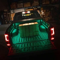 Alpena Truck Bed LED Pods RGB+ White with Pin Switch, 12V