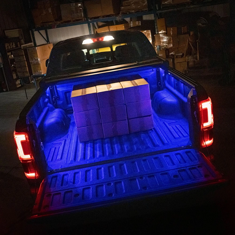 Alpena Truck Bed LED Pods RGB+ White with Pin Switch, 12V