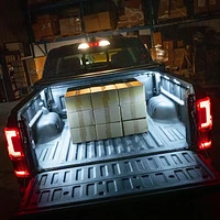 Alpena Truck Bed LED Pods RGB+ White with Pin Switch, 12V