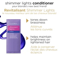 Clairol Blonde It Up, Permanent Hair Dye, 5x lift with no bleach