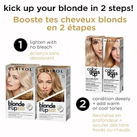 Clairol Blonde It Up, Permanent Hair Dye, 5x lift with no bleach