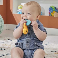 Fisher-Price Baby Teether and Fine Motor Toy for Newborns, Teething Time Otter