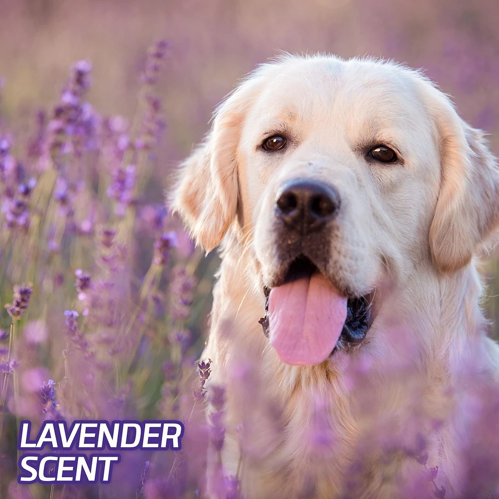 Hartz Home Protection Odour Eliminating Lavender 2XL Dog Pee Pads and Training Pads for Puppies and Adult Dogs, 40ct XXL Dog Pads (30"x30")