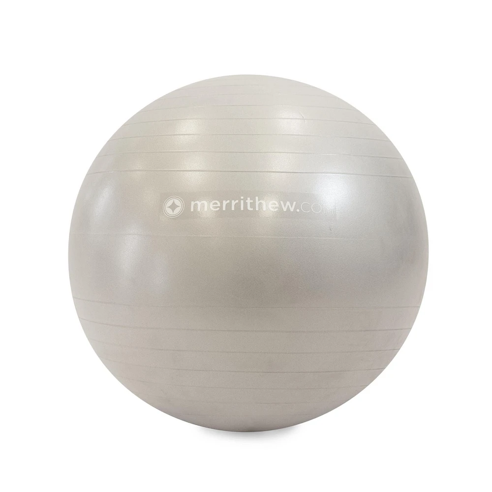 STOTT PILATES Stability Ball (Silver) with pump