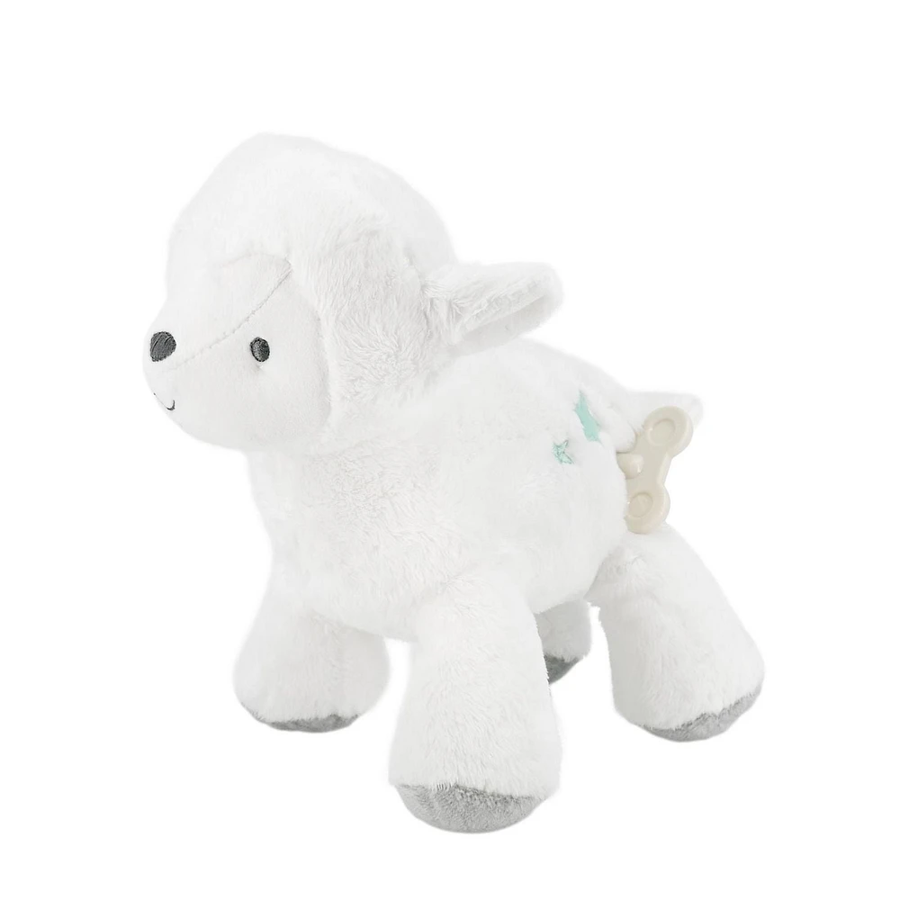 Carter’s Child Of Mine Lamb Waggy Musical, 9 inch